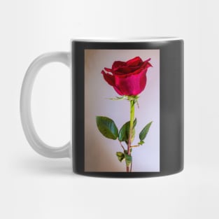 A Rose by any other name Mug